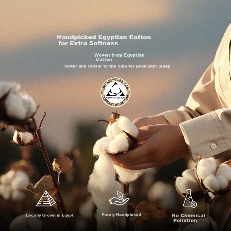Kang'erxin Egyptian Cotton 4-Piece Set Pure Cotton Luxury Bedding 100-Thread Count Fitted Sheet Style Sky White 1.5m Bed