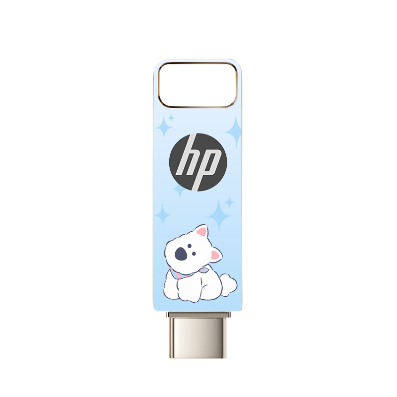 HP 128GB Type-C USB 3.2 Dual Interface High-Speed USB Flash Drive Large Capacity Office Car Use Compatible with Android Apple Phones and Computers