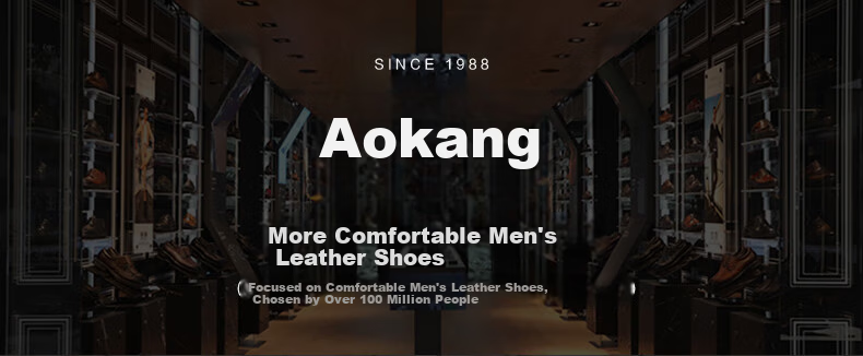 Aokang Men's Sheepskin Business Casual Round Toe Slip-On Breathable Soft Sole Leather Shoes Black Size 40 1