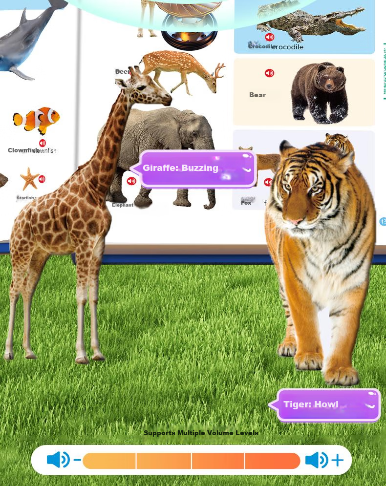 Lifang Talking Early Education Audio Book 0-9 Years Old Baby Reading Pen Sound Book Children's Birthday Gift for Boys and Girls 5