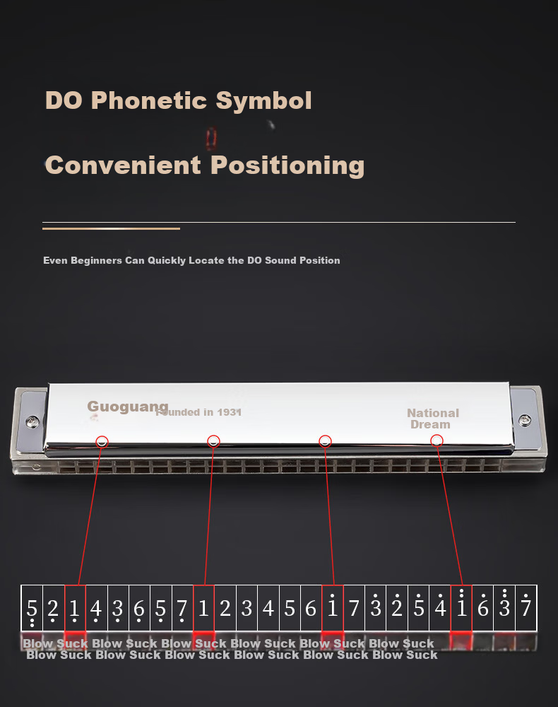 Guoguang 24-Hole National Dream Competition-Level Advanced C Key Silver Harmonica (Transparent Reed Plates, with Teaching Materials) 5