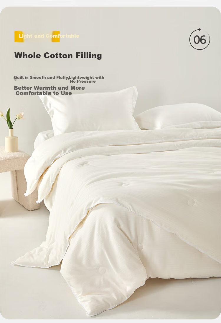 Dohia Home Textile Dual-Layer 2-in-1 Thickened Soybean Quilt Winter Comforter 10.7 lbs 230x229cm 9