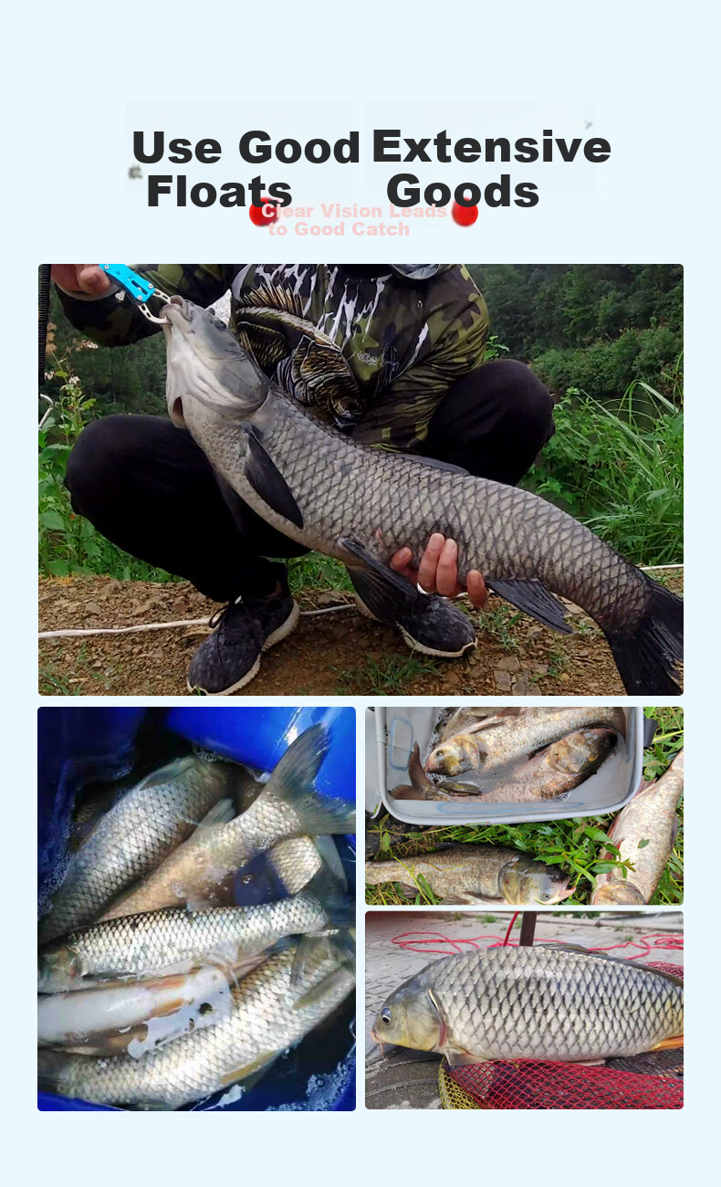 Xiaofengxian D-T10 Herbal Grass Silver Carp and Bighead Carp Color-Changing Luminous Fishing Float Electronic Float Thickened Eye-Catching Fishing Bobber Fishing Tackle 1