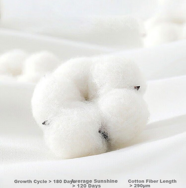 Ran Brand Pure Cotton Quilt Cover Single Piece 100-Count Cotton Duvet Cover Hotel White Quilt Cover 1.5m Double Bed 180x200cm 6