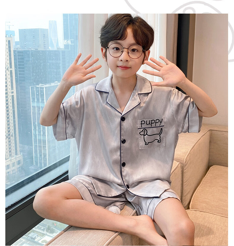 Langsha Children's Pajamas Boys Youth Summer Thin Lightweight Ice Silk Short Sleeve Two-Piece Homewear 2026 New Model 12