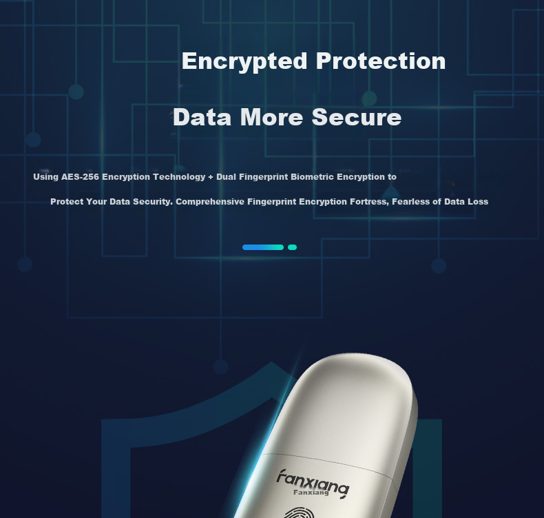 FANXIANG Solid State USB Drive 512GB USB 3.2 Type-C Fingerprint Encrypted High-Speed Flash Drive Mobile SSD FP651 Champagne Silver 5