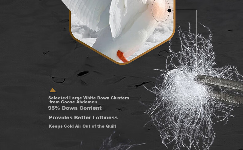 Mercury Home Textiles 95% White Goose Down Quilt Thickened Winter Double Duvet 220×240cm-1100g 8