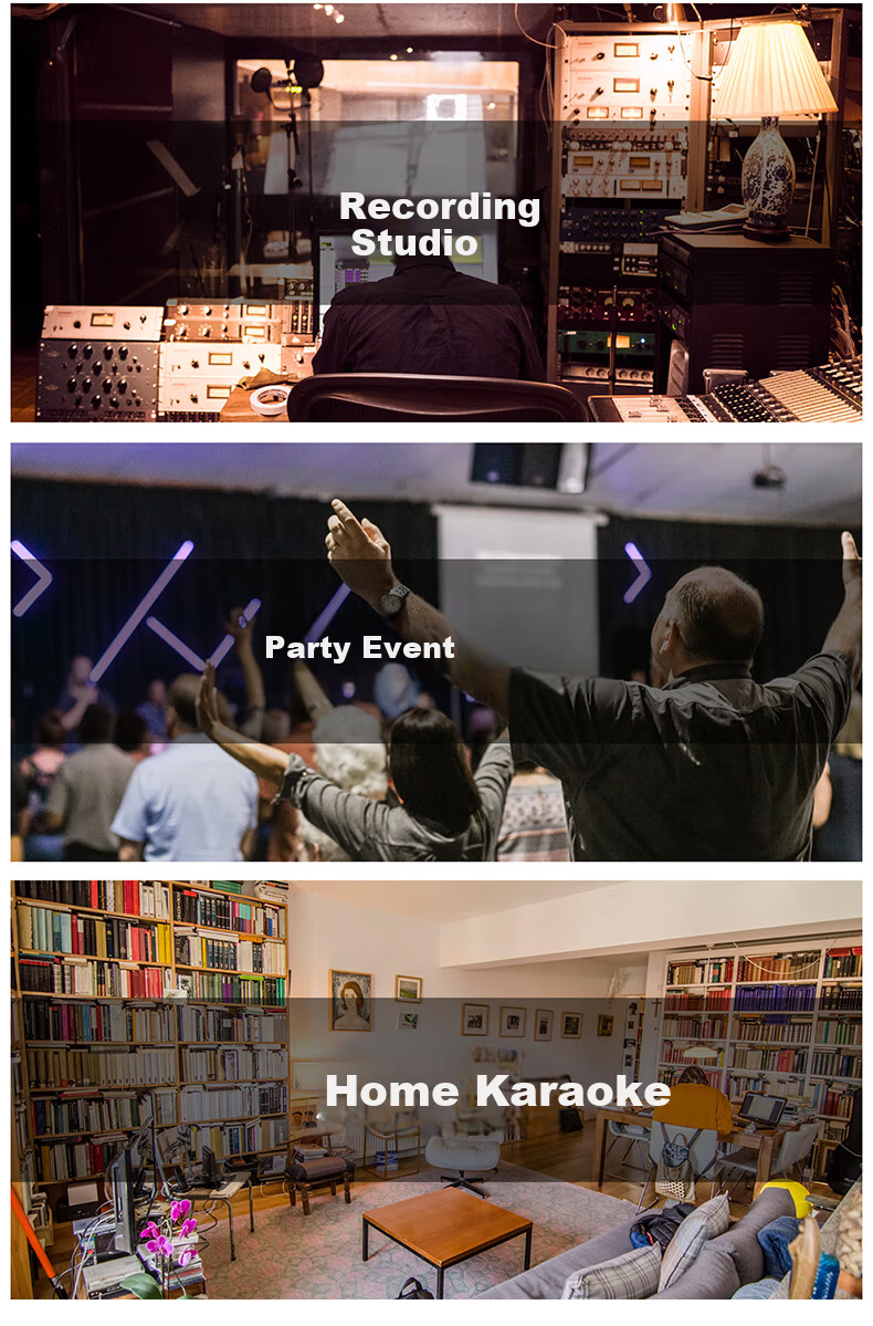 Depusheng E300 Sound Card Microphone Enhanced Version Desktop Noise Reduction Condenser Mic for Computer Live Streaming Singing Online Classes Recording Audiobooks Dubbing Gaming Voice Chat K 6