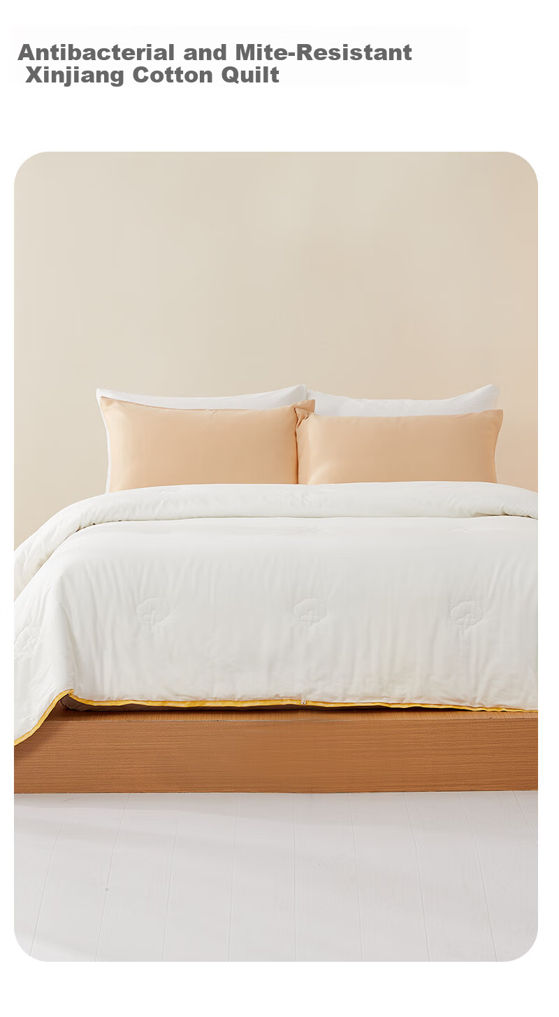 MERCURY Kids Comforter, Winter Cotton Quilt, Class A Xinjiang Cotton, Spring And Autumn Duvet, Approximately 6.5 Jin (3.25 Kg), 220*240cm 2