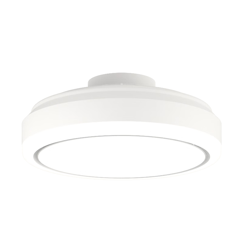 Haishibao Bladeless Ceiling Fan Light All-Spectrum Eye Protection Remote Control Dining Bedroom Kids Electric Ceiling Fan Light with Installation Included