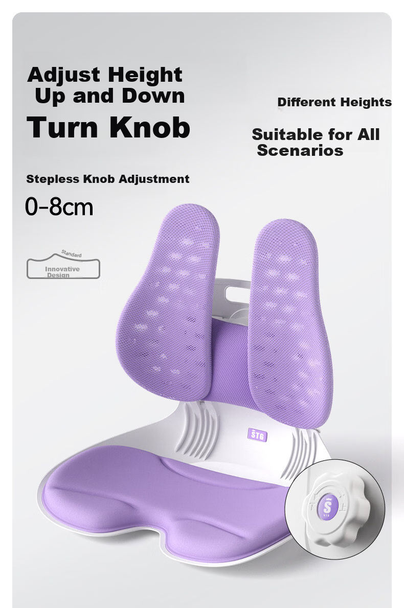 SITGOOD Lumbar Support Seat Back Cushion Waist Pillow Posture Chair Lumbar Cushion STG Seat Cushion Pillow Gift Office Lumbar Support Cushion 14