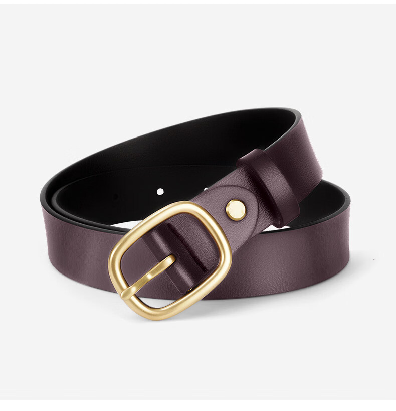 Romon Women's Genuine Leather Belt with Pin Buckle 2026 New High-End Decorative Waist Chain Simple Versatile Jeans Belt 20