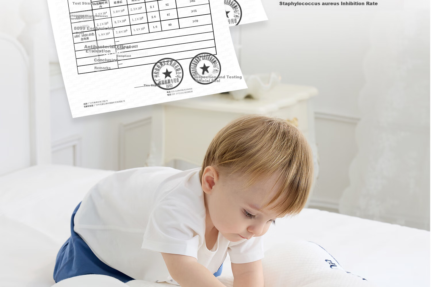 DOMIAMIA Children's Pillow Baby Pillow for Infants 3-6 Years Anti-Mite Breathable Toddler Zoned Spine Support Pillow 24