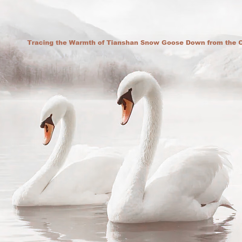 Luolai Home Textiles Down Quilt A-Class 95% Washed White Goose Down 100-Count Cotton 3D Windproof Winter Quilt Core