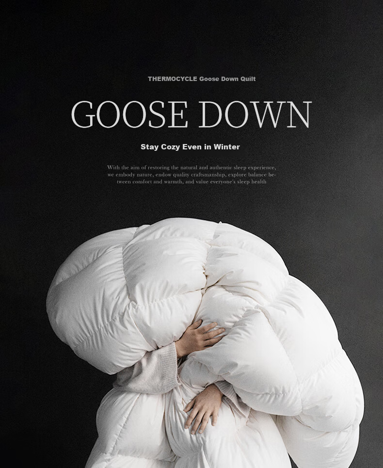 SIDANDA down Comforter, 4A Grade 95% White Goose Down, 100 Count Pure Cotton Antibacterial Goose Down Filling, Summer Quilt, 200*230cm 1