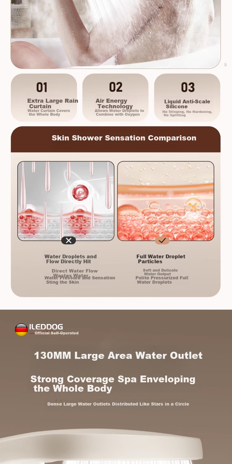ILeddog [Germany] High-Pressure Shower Head Handheld Bathroom Rainfall Shower DS-248 9