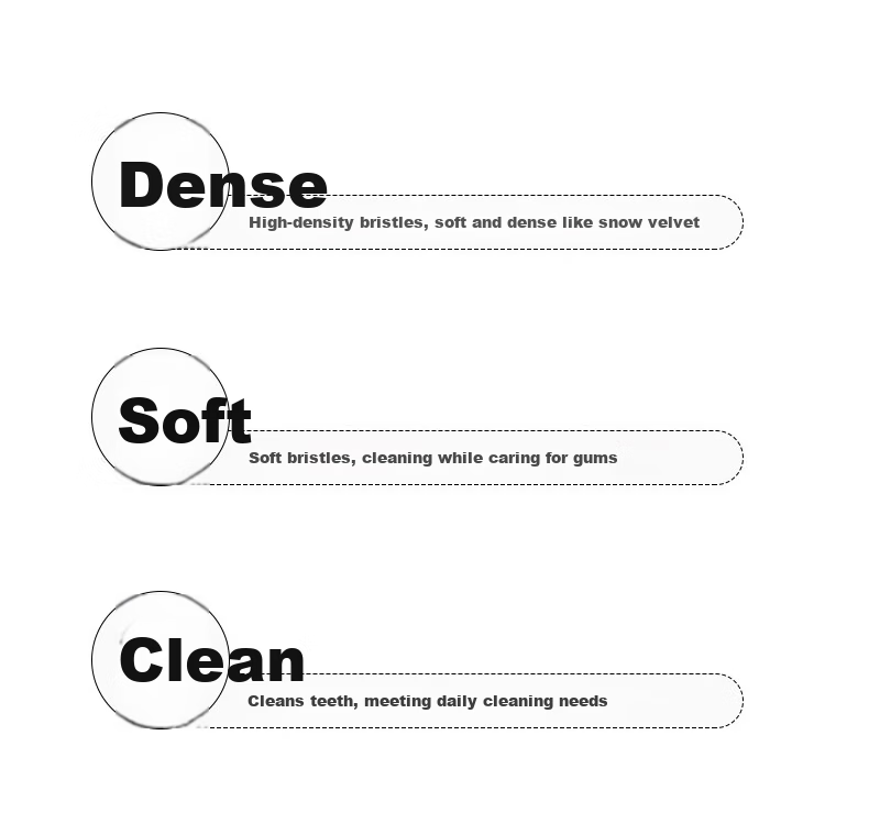 Baizao Extra Hard Durable Toothbrush Individual Pack Men's Women's Family Use Medium Hard Bristles Adult 5