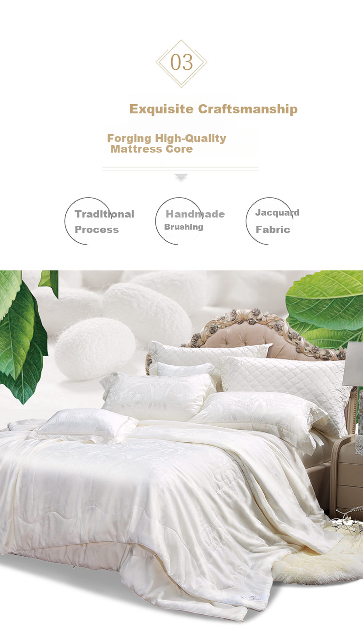 FUANNA Gold CP Silk Soybean Quilt, Winter Antibacterial Comforter, Double Size Winter Quilt, Approximately 6.6 Jin (3.3 Kg), 230*229cm 9