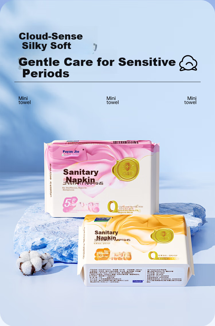 Fuyan Jie Disinfectant Grade Sanitary Pads Day Use Ultra Thin Breathable Soft Care 245mm 5pcs*12 Packs 4