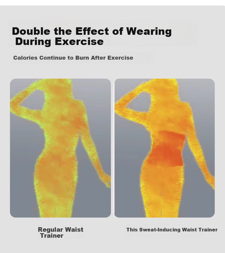 GRACEWELL Strong Abdominal Binder Slimming Summer Thin Waist Trainer for Prolonged Sitting Waist Support Fitness Waist Belt Purple M 8