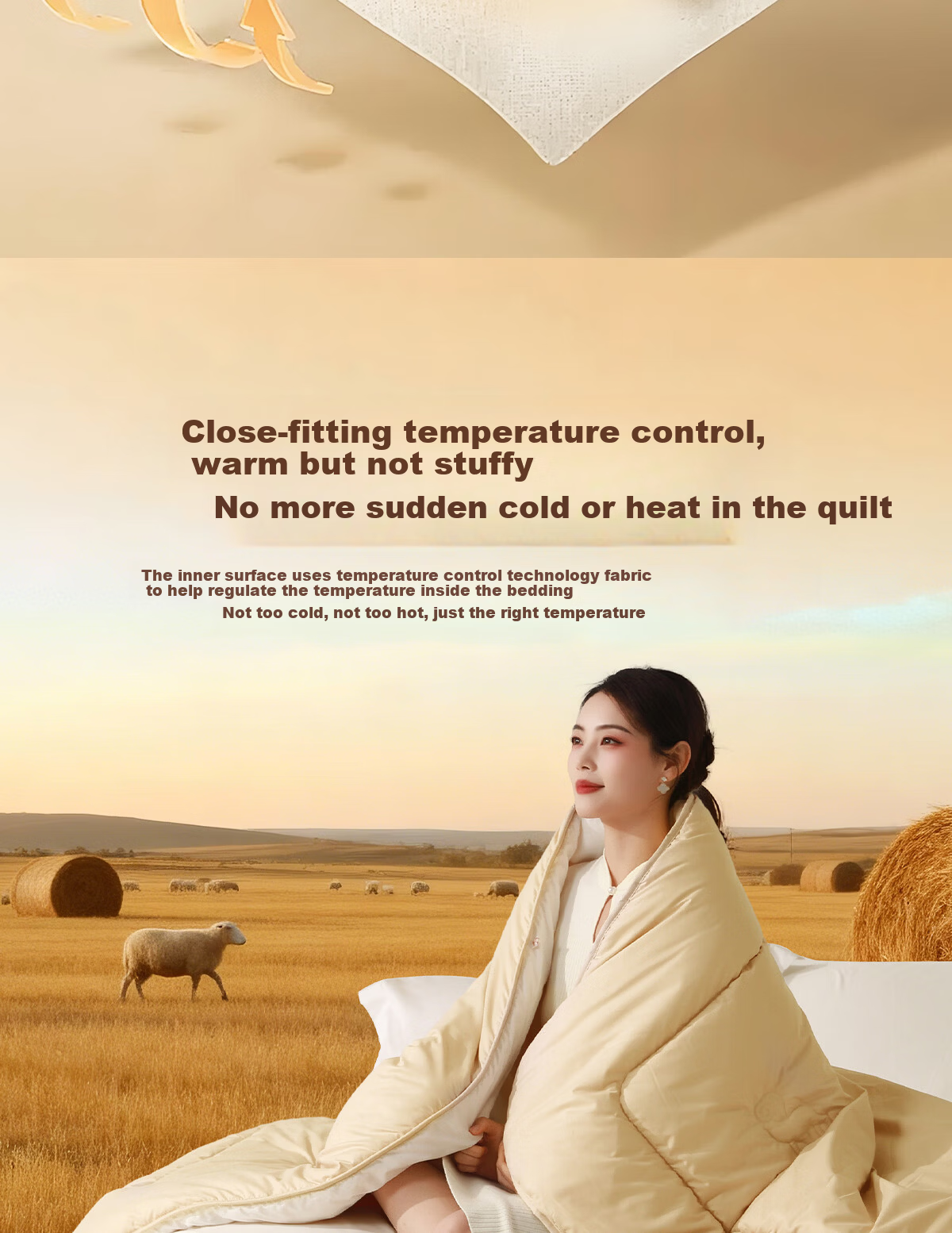 Bailisi Shuixing Jiafang Brand Quilt, Winter Comforter, 100% Wool Duvet, Winter Bedding, Single Person Quilt, Thickened, Approximately 6 Ji 5