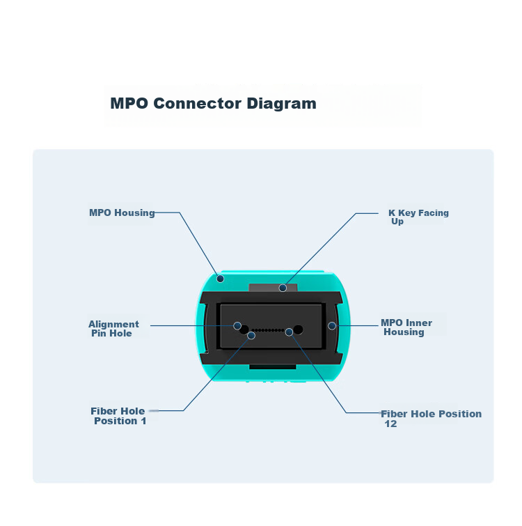 12-Core MPO-MPO Fiber Optic Patch Cord Female B Polarity Compatible MTP OM3 Multimode 10G/40G/100G Optical Module Bundle Fiber Cable 3m Q3-PP1203 2