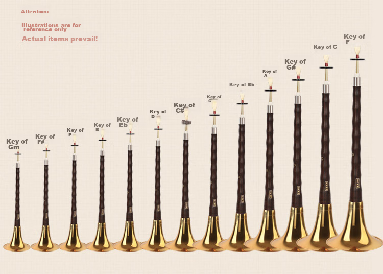 HongYiFengMing Ebony D-Tune Golden Bowl, Adult Beginner's Tutorial, Sheet Music, Suona Complete Set 7
