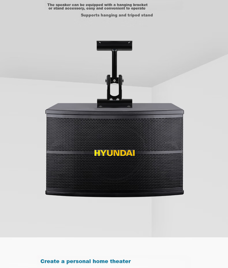 HYUNDAI Professional 10-Inch Card Holder Home Theater KTV Speaker Home Combo Professional Entertainment Karaoke Meeting Stage Equipment Vertical Speaker 3