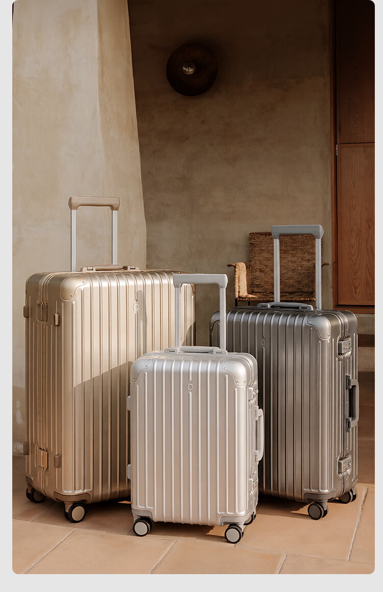 JD Jingzao "Interstellar" Slim Aluminum Frame Luggage Large Capacity Carry-On Durable High-Value Frost Moon Silver 20 Inch 17