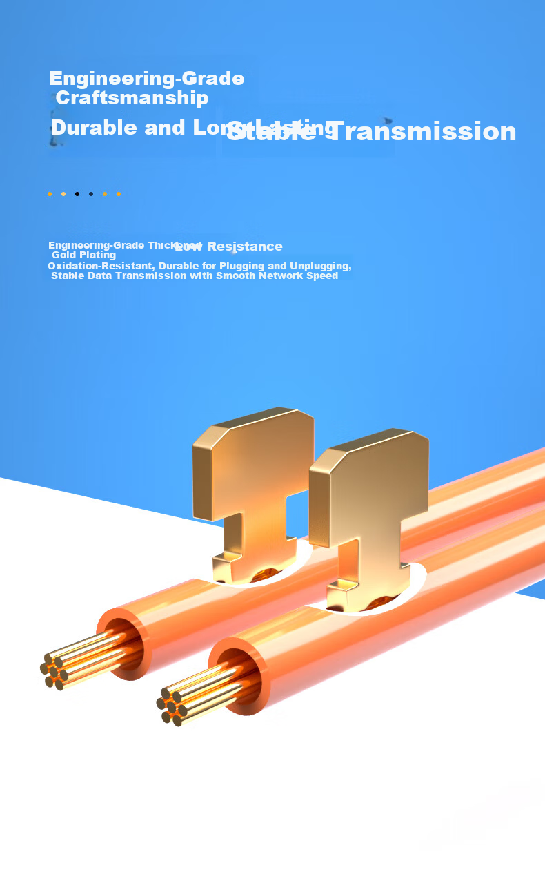 LIJIA 6P6C Shielded Long Crystal Head High-Quality 6P6C Voice Telephone Line Connector RJ12 Interface Crystal Head 6-Core Pure Copper Gold-Plated 10-Pack LJ-6FTP10 3