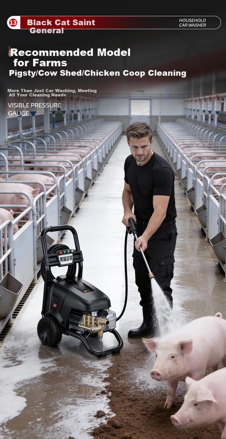 Black Cat Saint Commercial Car Washer High-Pressure Cleaning Machine High Power Farm Car Wash Water Gun 220V Car Wash Shop Brush Pump 90 5