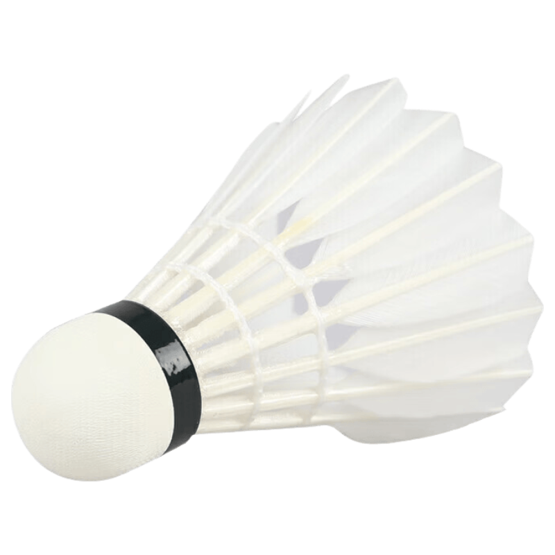 LI-NING Badminton Shuttlecock Durable Training and Provincial Team Match Use Stable Flight and Landing