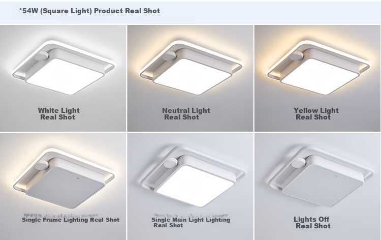 Foshan Lighting Modern Nordic Ceiling Light for Living Room Bedroom Study Eye Protection Mi Home Smart Control 200W Qinglan 18