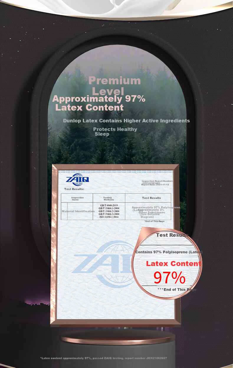 Dunlopillo Stuzzi Series Latex Pillow Refreshing Massage Pillow Dutch Imported Talalay Process Natural Latex Pillow 6