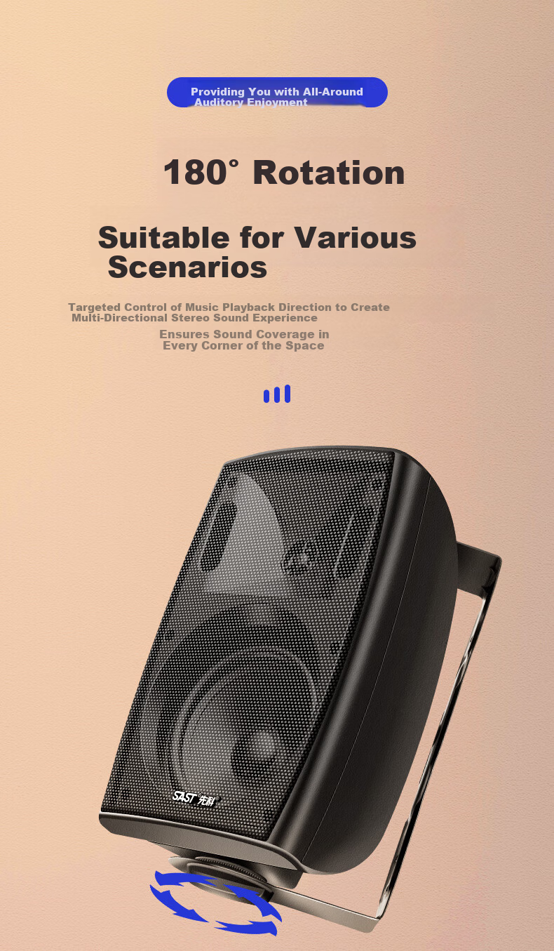 SAST 60W Wall-Mounted Speaker Commercial Public Address Background Music Sound System P60 Black 1