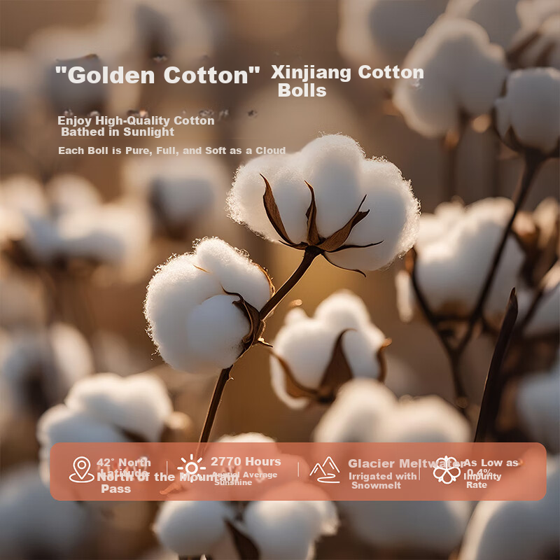 Bellees Home Textile Cotton Quilt 100% Cotton Core A-Class Antibacterial Xinjiang Cotton Four Seasons Quilt Approx. 5 Jin 220*240cm