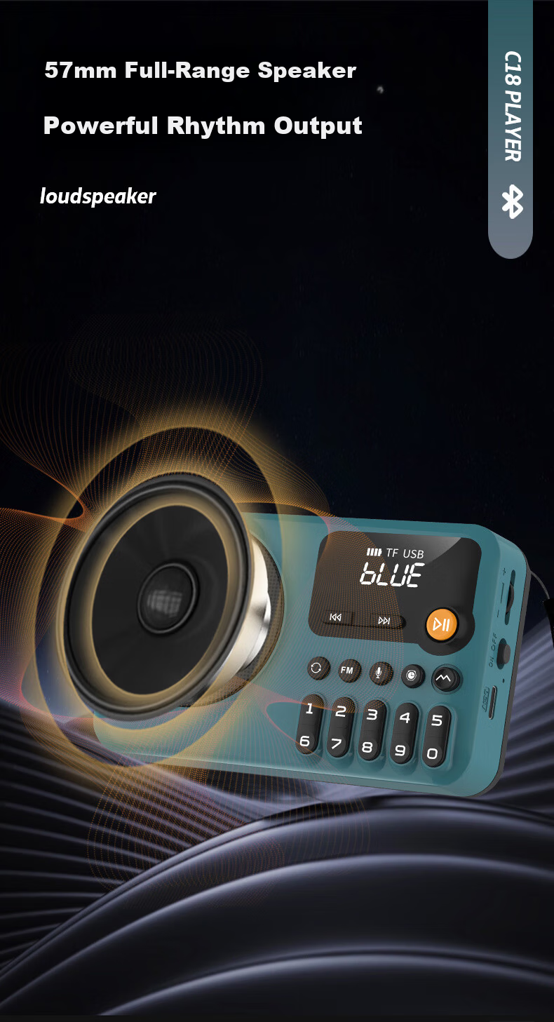 NINTAUS C38 Pure Radio, New Multi-Band Radio for Elderly, Mini Portable Small Full-Band Semiconductor Rechargeable Player, FM Tuner, Personal Radio for News 8