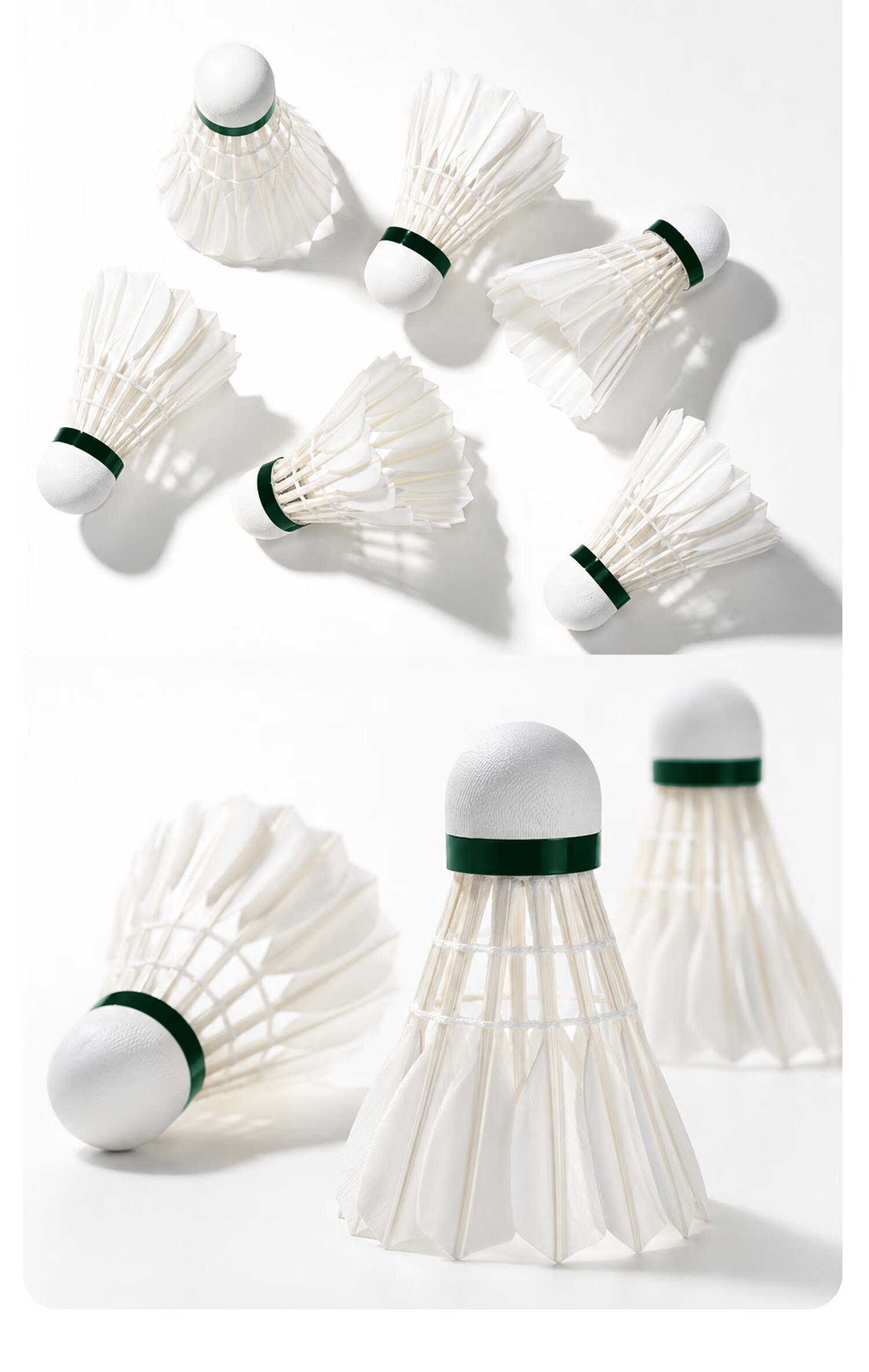 KAWASAKI Badminton Feather Shuttlecocks 12-Pack Durable Stable Aurora Shuttlecock 9