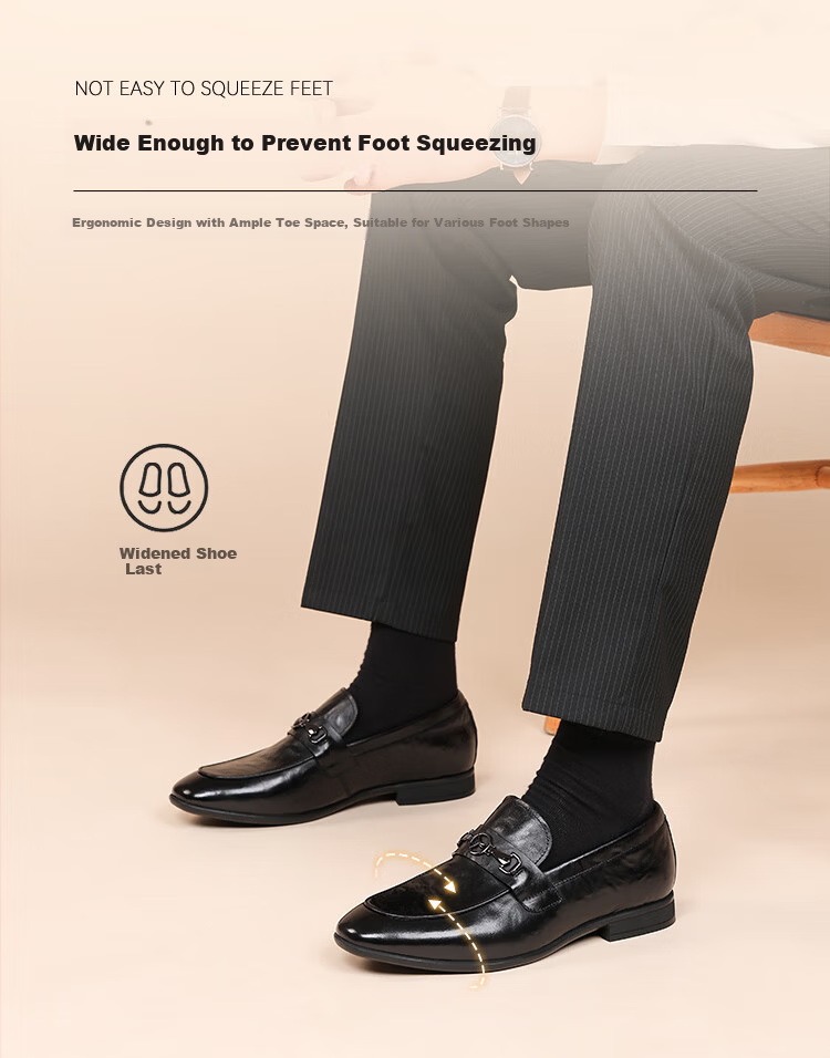Red Dragonfly Men's Business Leather Breathable Soft Sole Formal Slip-On Loafers WLA350621 Black Size 42 6