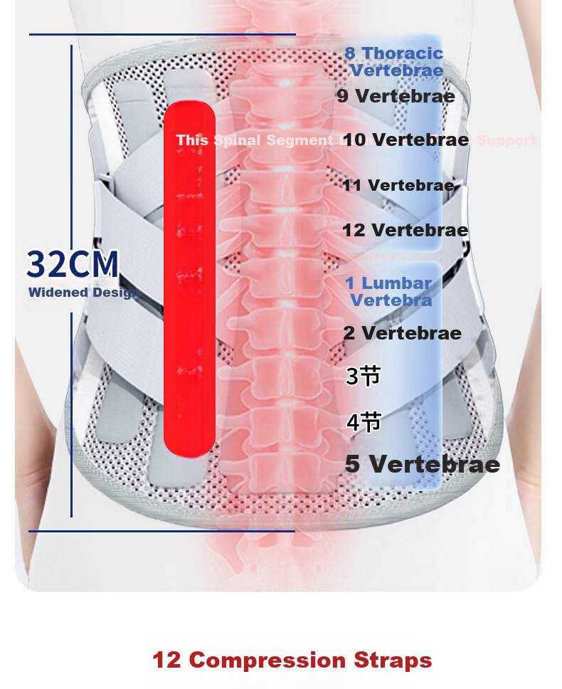 Bamaier Medical Lumbar Support Belt Herniated Disc Lumbar Spine Brace Widened Steel Plate Support for Lumbar Muscle Strain Postoperative Use 10