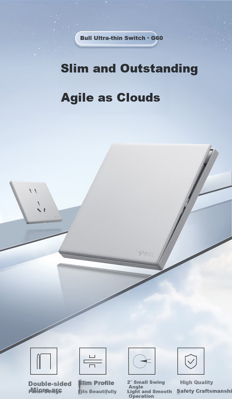 BULL G60 Series 10A Five-Hole Ultra-Thin Socket Panel G60Z223 Space Silver 1