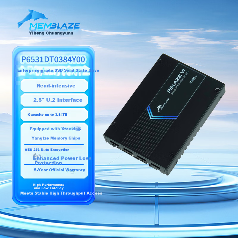 Memblaze Yiheng Chuangyuan Little Dolphin Data Center Enterprise SSD 3.84TB PCIe4.0 U.2 Read-Intensive P6531DT0384Y00