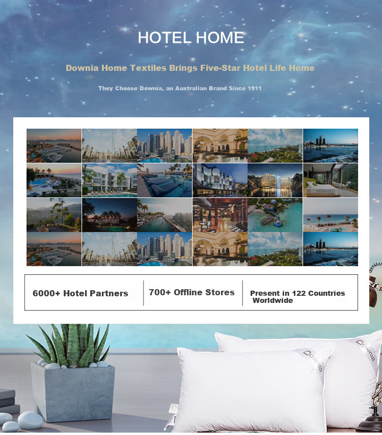 Downia JW Five-Star Hotel White Goose Down Pillow 90% White Goose Down Luxury Pillow 74*48CM 2