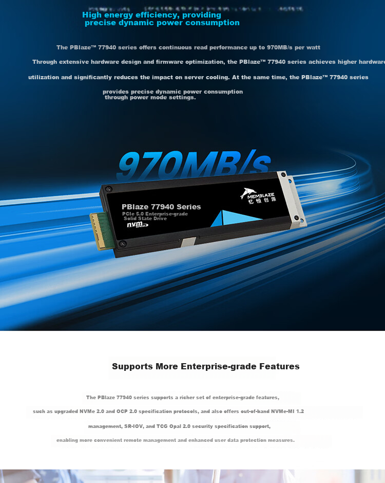 Memblaze Yiheng Chuangyuan Little Dolphin Data Center Enterprise SSD 7.68TB PCIe 5.0 U.2 Read-Intensive P7940DT0768Y00 4