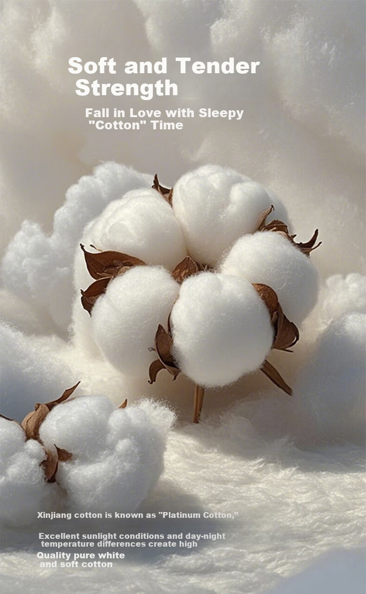 MUJI Workshop Muji Fabric Category A Cotton Quilt Xinjiang Cotton Core 150x200cm Cotton Filling Blanket 5 Jin 3