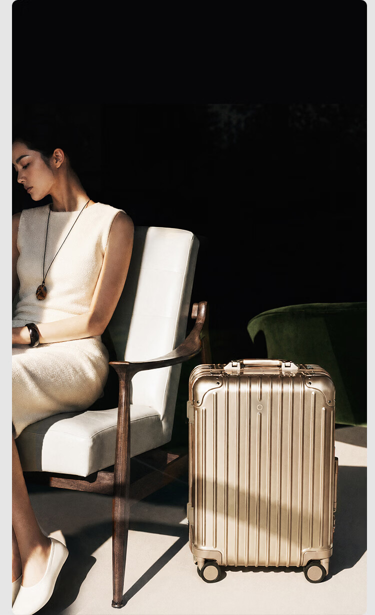 JD Jingzao "Interstellar" Slim Aluminum Frame Luggage Large Capacity Carry-On Durable High-Value Frost Moon Silver 20 Inch 14