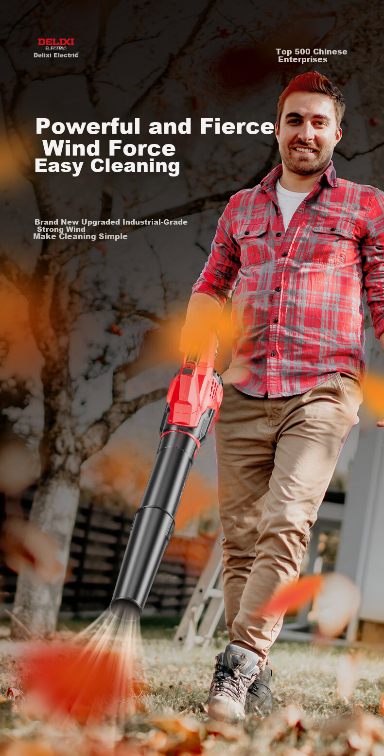 DELIXI ELECTRIC Lithium Battery Blower Snow Blower Cordless High-Power Dust Blower Strong Dust Remover 3