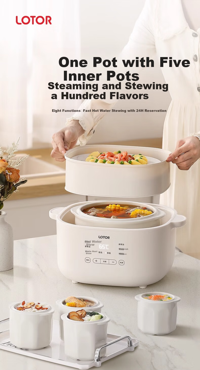 LOTOR Multifunctional Electric Stew Pot, Home Double Boiler, Small Capacity Soup Pot, Bird's Nest Stewing Cup, Soup Cooking Pot, Baby Porridge Cooking Tool 2