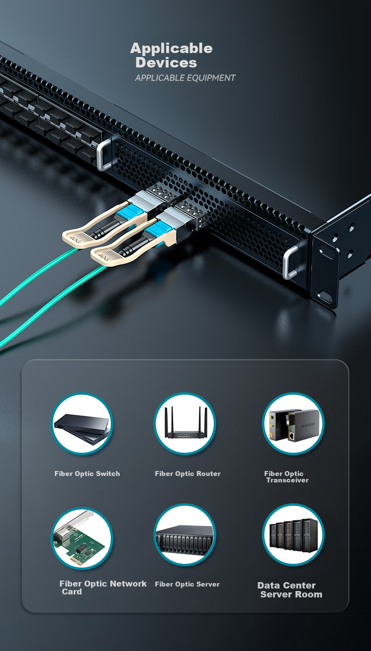 Shengwei 10G Optical Fiber Module Gigabit SFP Optical Module 10G Multimode Dual Fiber LC Interface Compatible with Huawei/H3C/Ruijie Domestic Brand Devices BSFP-10G-MM 9