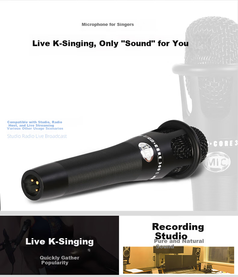 Depusheng E300 Sound Card Microphone Enhanced Version Desktop Noise Reduction Condenser Mic for Computer Live Streaming Singing Online Classes Recording Audiobooks Dubbing Gaming Voice Chat K 2